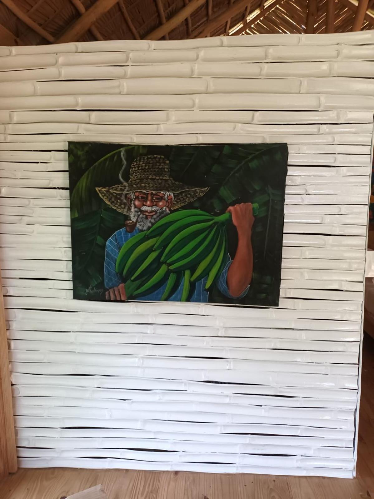Samo Eco Lodge Las Terrenas Eksteriør bilde