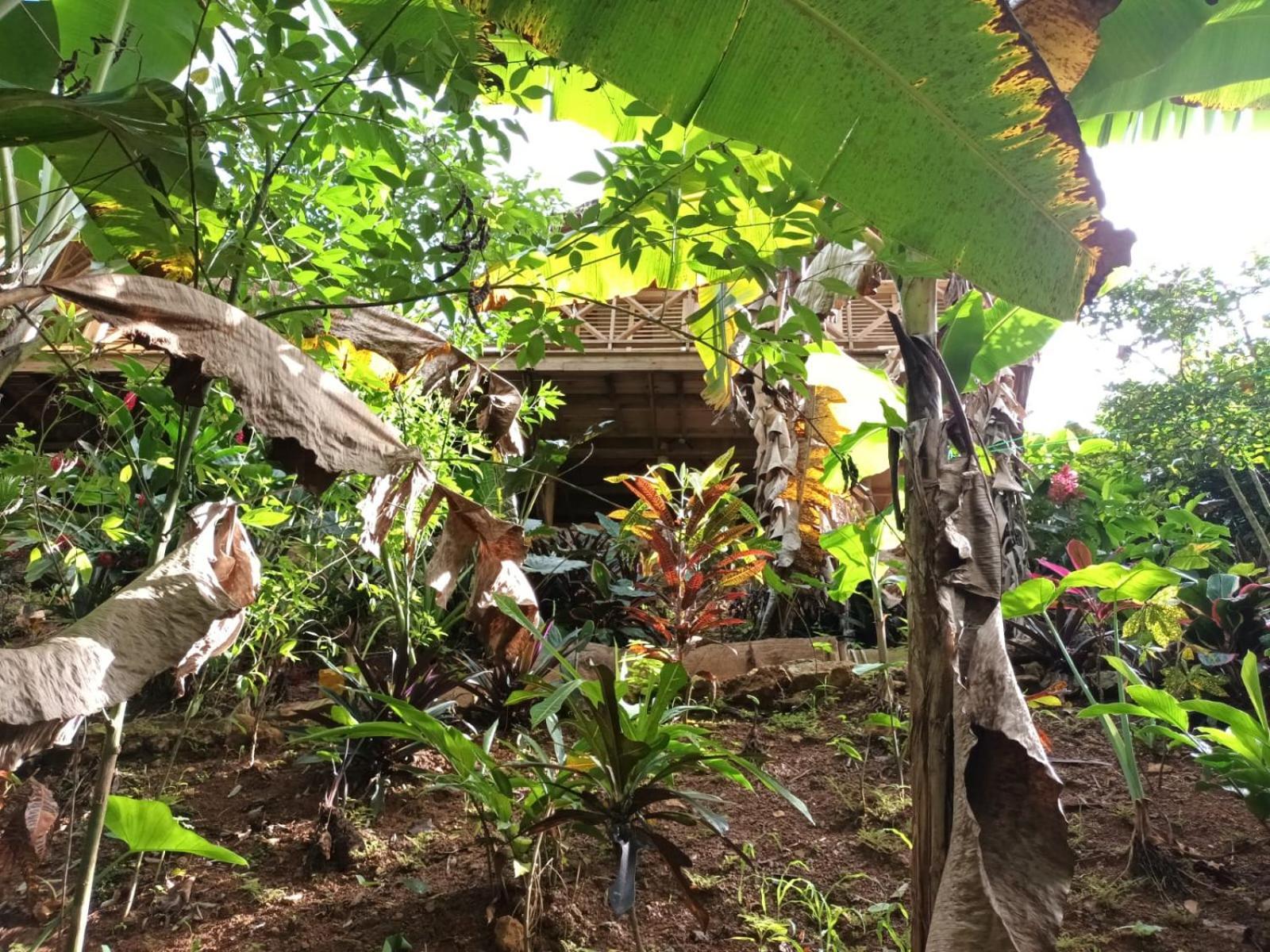 Samo Eco Lodge Las Terrenas Eksteriør bilde