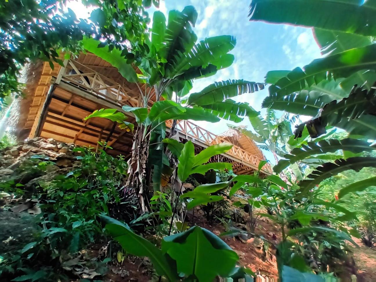 Samo Eco Lodge Las Terrenas Eksteriør bilde