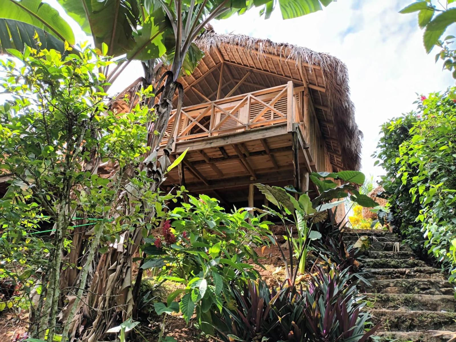 Samo Eco Lodge Las Terrenas Eksteriør bilde