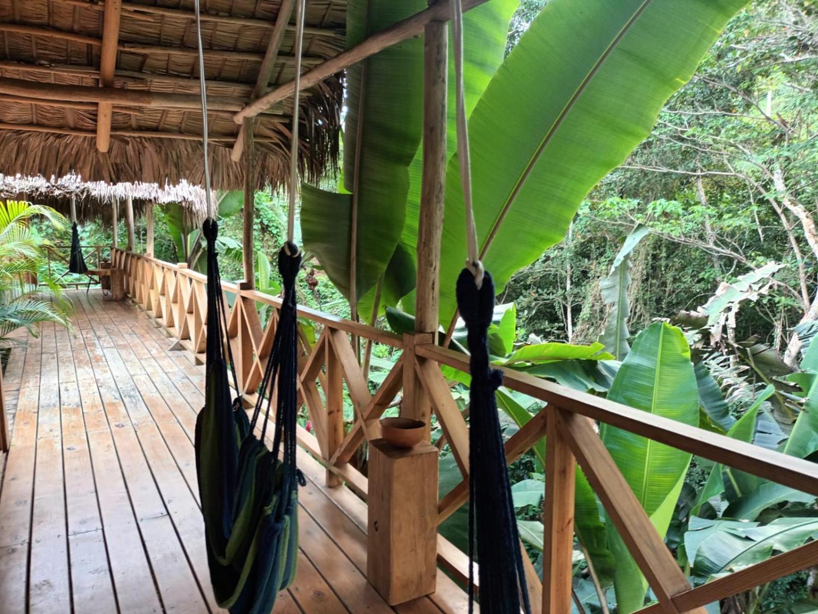 Samo Eco Lodge Las Terrenas Eksteriør bilde
